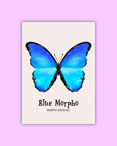 Butterfly & Moth Art Prints