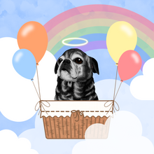 Load image into Gallery viewer, Rainbow Bridge Pets 💕🌈
