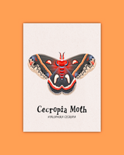 Load image into Gallery viewer, Butterfly &amp; Moth Art Prints
