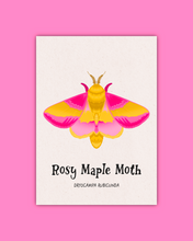 Load image into Gallery viewer, Butterfly &amp; Moth Art Prints
