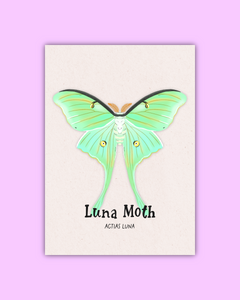 Butterfly & Moth Art Prints