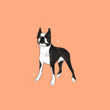 Load image into Gallery viewer, Full Body Pet Portrait
