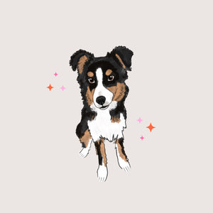 Full Body Pet Portrait