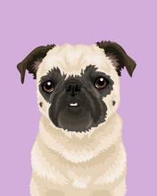 Load image into Gallery viewer, Pet Portrait + Solid Background
