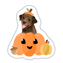 Load image into Gallery viewer, Breed Specific Pumpkin Stickers!
