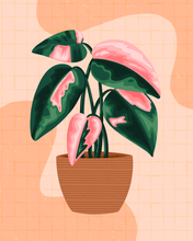 Load image into Gallery viewer, Funky Plant 2
