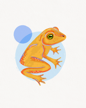 Load image into Gallery viewer, The Golden Toad
