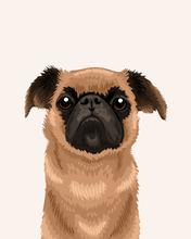 Load image into Gallery viewer, Textured Pet Portrait
