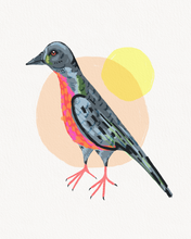 Load image into Gallery viewer, Passenger Pigeon
